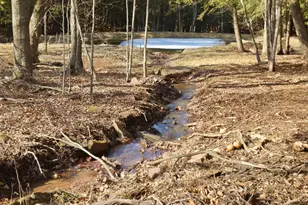 187 Arnolds Rd, Equinunk, PA 18417 - Photo 105