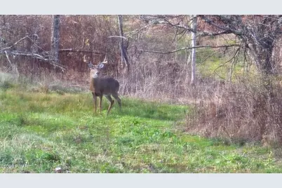 187 Arnolds Road, Equinunk, PA 18417 - Photo 109