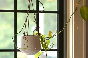 171 Wilsonville Rd, Hawley, PA 18428 - Photo 17