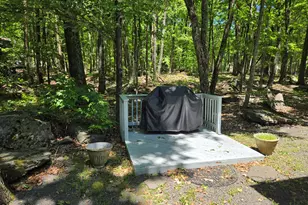 102 Longspur Ln, Lords Valley, PA 18428 - Photo 41