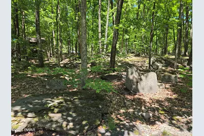 102 Longspur Lane, Lords Valley, PA 18428 - Photo 43