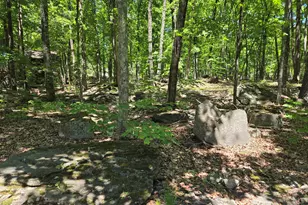102 Longspur Ln, Lords Valley, PA 18428 - Photo 43