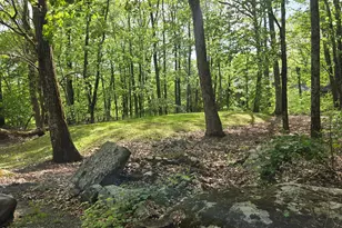 102 Longspur Ln, Lords Valley, PA 18428 - Photo 45