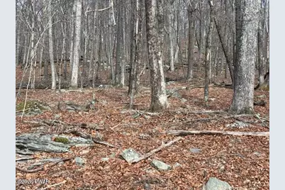 Lot 644 Woodcock Road, Dingmans Ferry, PA 18324 - Photo 3