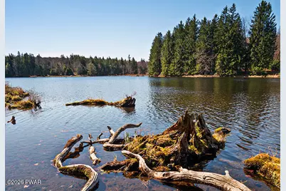 106 Middle Road, Greentown, PA 18426 - Photo 35