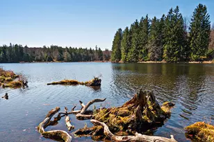 106 Middle Rd, Greentown, PA 18426 - Photo 35