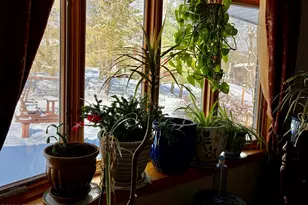 184 Butternut Rd, Milford, PA 18337 - Photo 19