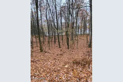 Briarwood Trail, Beach Lake, PA 18405 - Photo 5