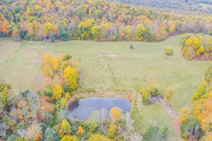 69 E Sterling Rd, Newfoundland, PA 18445 - Photo 53