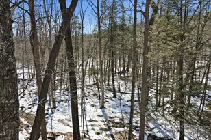 113 Regent St, Bushkill, PA 18324 - Photo 71