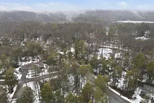 1025 Wallenpaupack Dr, Lake Ariel, PA 18436 - Photo 51