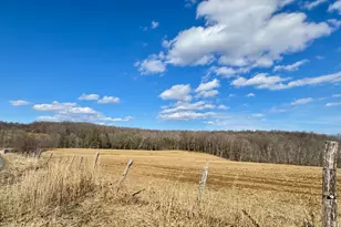 681 Great Bend Turnpike, Pleasant Mount, PA 18453 - Photo 49