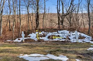 144 Crosstown Hwy, Union Dale, PA 18470 - Photo 109