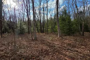 Snowy Ridge, Jim Thorpe, PA 18229 - Photo 21