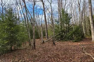 Snowy Ridge, Jim Thorpe, PA 18229 - Photo 19