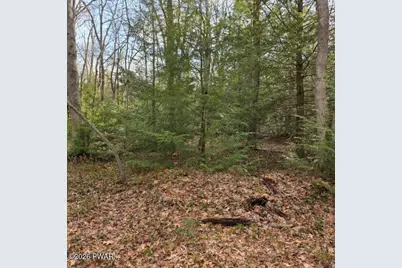 Snowy Ridge, Jim Thorpe, PA 18229 - Photo 15