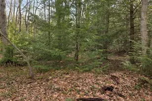 Snowy Ridge, Jim Thorpe, PA 18229 - Photo 15