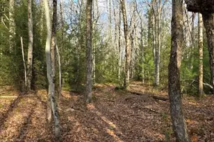 Snowy Ridge, Jim Thorpe, PA 18229 - Photo 13