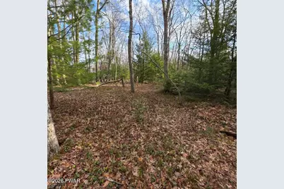 Snowy Ridge, Jim Thorpe, PA 18229 - Photo 9