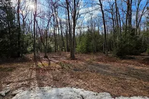 Snowy Ridge, Jim Thorpe, PA 18229 - Photo 23