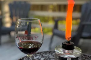 114 Cottonwood Dr, Lords Valley, PA 18428 - Photo 7