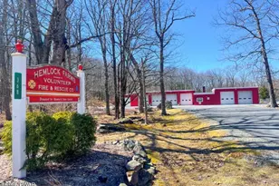 811 Hickory Ct, Lords Valley, PA 18428 - Photo 43