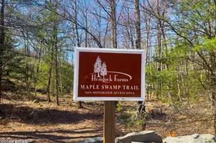 811 Hickory Ct, Lords Valley, PA 18428 - Photo 35