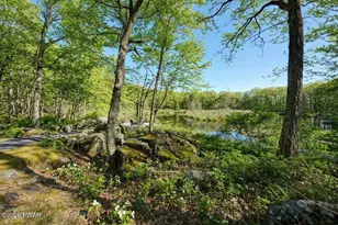 107 Cliff Dr, Lords Valley, PA 18428 - Photo 65