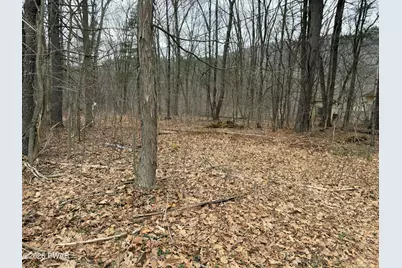 5026 Hancock, Equinunk, PA 18417 - Photo 3