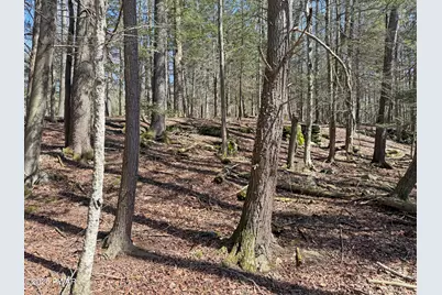 924-927 Hibernation Road, Lake Ariel, PA 18436 - Photo 15