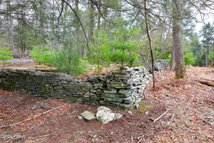 245 Lcpl Jacob Beisel Rd, Lackawaxen, PA 18435 - Photo 41