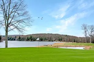 125 Big Bear Dr, Greentown, PA 18426 - Photo 61