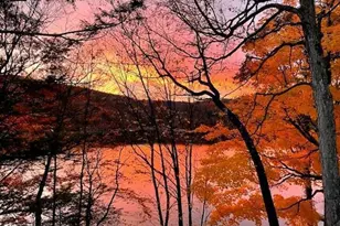 202 Lennon Rd, Greentown, PA 18426 - Photo 69