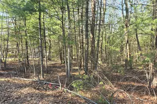 Lot 3 Stone Ridge Rd, Dingmans Ferry, PA 18328 - Photo 1