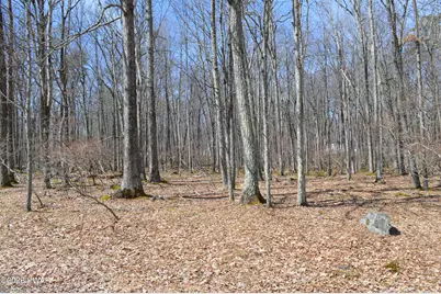 Lot 23R Forest Court, Hawley, PA 18428 - Photo 1