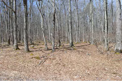 Lot 23R Forest Court, Hawley, PA 18428 - Photo 3