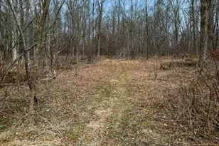 121 Pond Rd, Moscow, PA 18444 - Photo 13