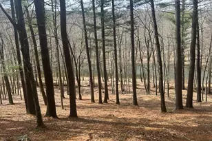 Lot 23 Circle Dr, Hawley, PA 18428 - Photo 1