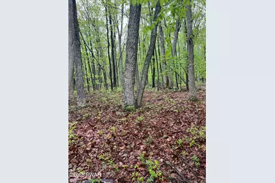 259 Florence Trail, Hawley, PA 18428 - Photo 89