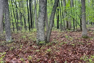 259 Florence Trail, Hawley, PA 18428 - Photo 89