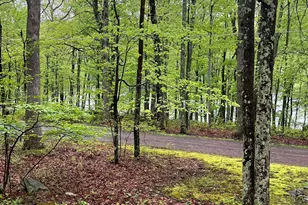 259 Florence Trail, Hawley, PA 18428 - Photo 17