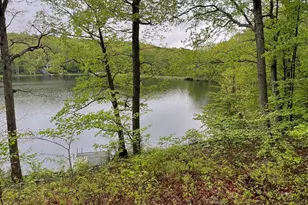 259 Florence Trail, Hawley, PA 18428 - Photo 97