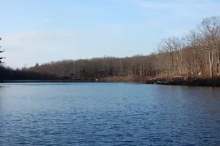 259 Florence Trail, Hawley, PA 18428 - Photo 103