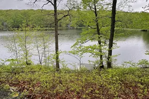 259 Florence Trail, Hawley, PA 18428 - Photo 95