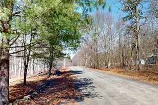 119 Robin Ln, Dingmans Ferry, PA 18328 - Photo 37