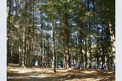 137 Oak Drive, Greentown, PA 18426 - Photo 23