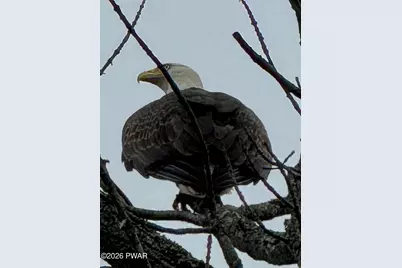 83 Northgate Road, Lake Ariel, PA 18436 - Photo 45