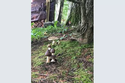 325 Sunset Shore Drive, Hawley, PA 18428 - Photo 47