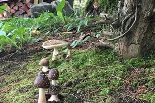 325 Sunset Shore Dr, Hawley, PA 18428 - Photo 47