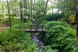 110 Timber Ridge Dr, Newfoundland, PA 18445 - Photo 81